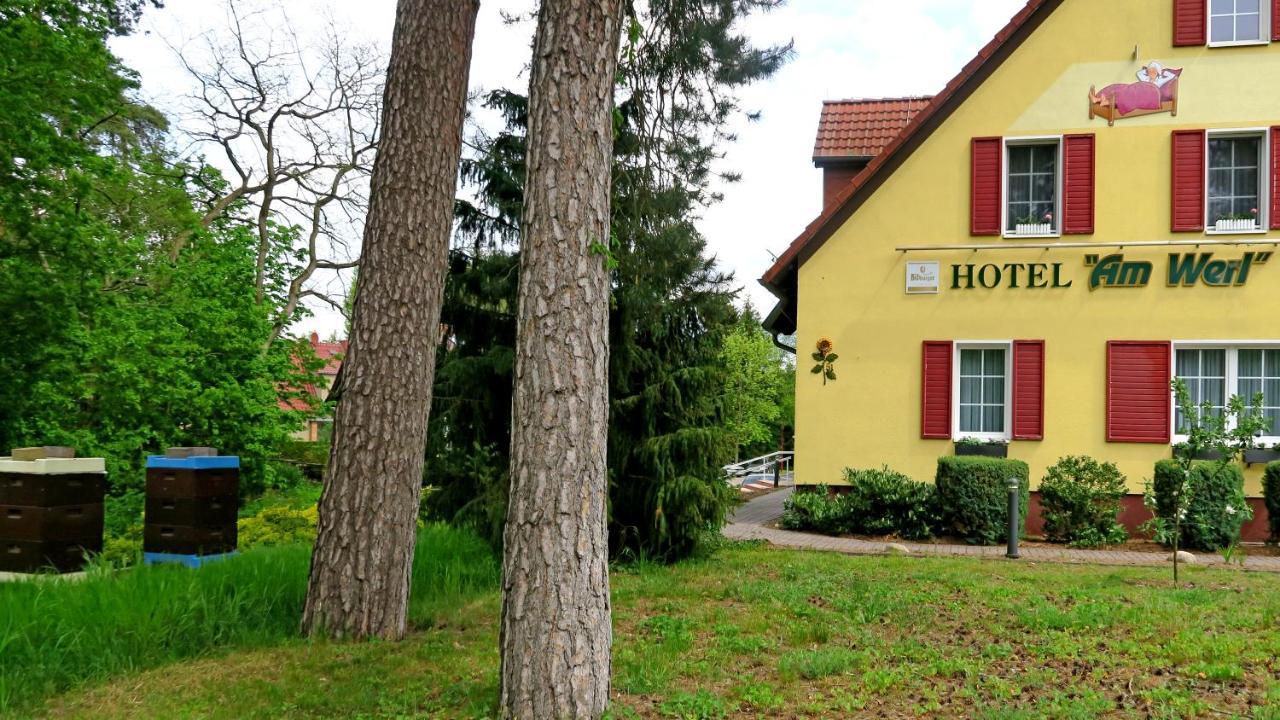 Hotel "Am Werl" Bad Saarow Exteriör bild